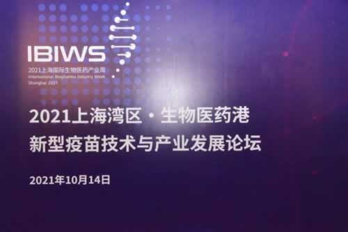 网站提现审核不通过？揭秘解决之道，轻松应对！