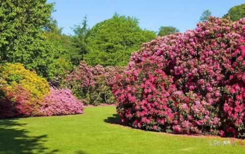 数据库被黑怎么恢复