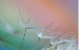 遇到黑网被黑客服说还有打10倍流水才给出款，揭秘真实内幕！