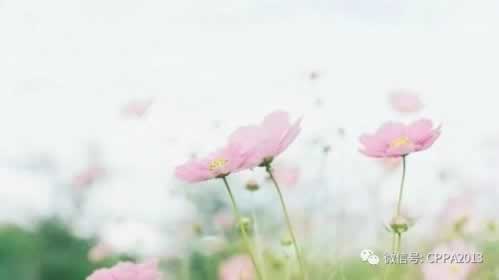 【揭秘】365维修平台：好用吗？知乎用户真实评价大揭秘！