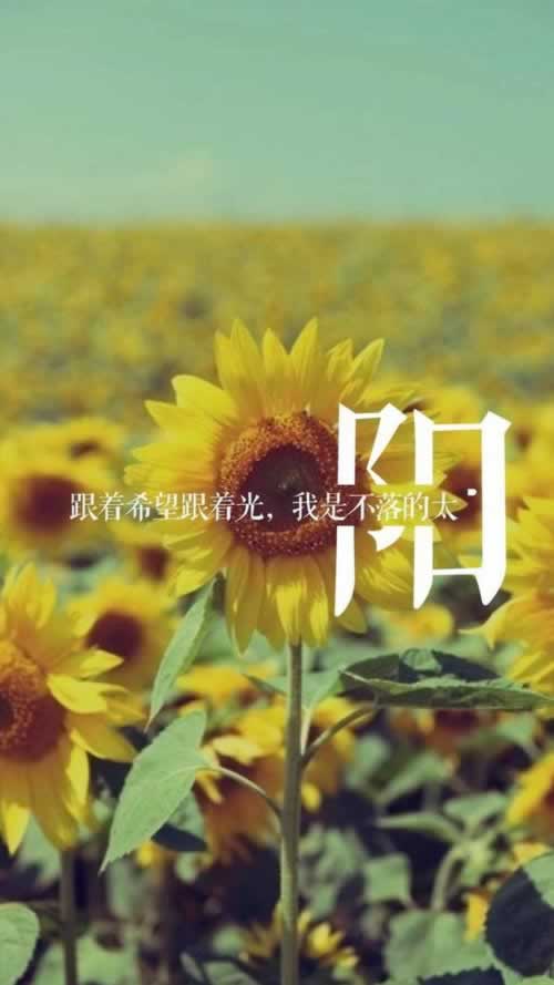 注单异常背后的秘密:揭秘常见原因及应对策略 注单异常背后的秘密:揭秘常见原因及应对策略