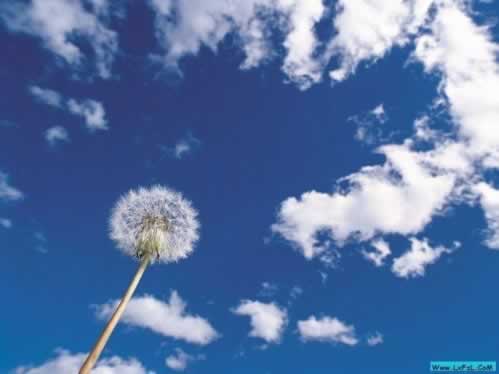 网络被黑赢的钱不给提出来?揭秘背后的真相与应对策略 网络被黑赢的钱不给提出来?揭秘背后的真相与应对策略