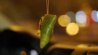 出款维护售后服务如何