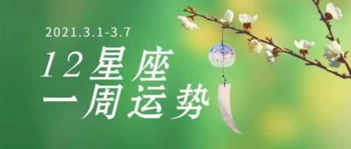 网络平台被黑：通道维护困境，提款难题如何破解？