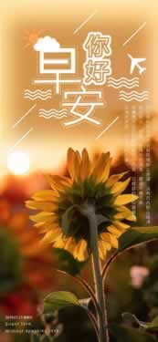 【紧急预警】你的网站为何会被黑？9万资金提不出来，揭秘背后真相！