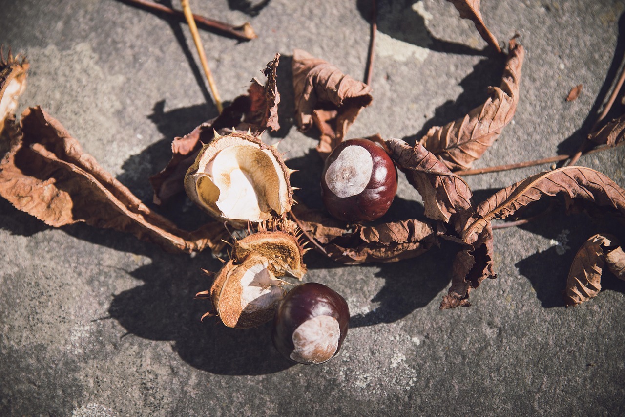 C {全球疫情数据趋缓下的长尾挑战与未来防疫思考}、后疫情时代新观察