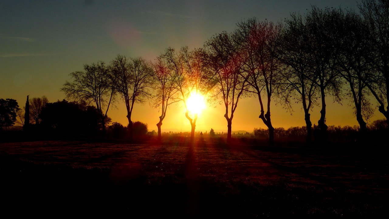 一座城的坚韧与温度,{数字背后},天津新增本土确诊19例