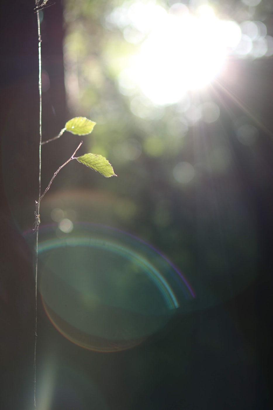 五例新增背后的山河守望：疫情低处流转间，个体命运与城市呼吸的微光刻度