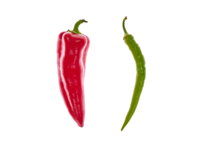 日运量骤降百万，铁轨上的隔离带，一部国家血管的应急管理学