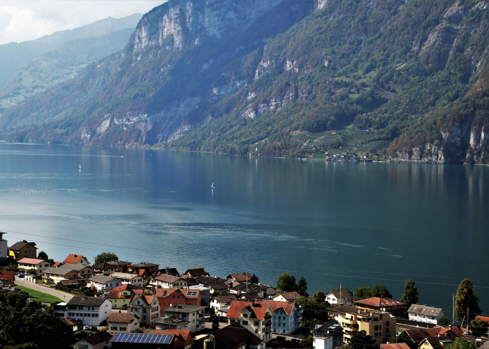 数字背后的治理温度与精密智控密码，浙江防疫通报 J 77