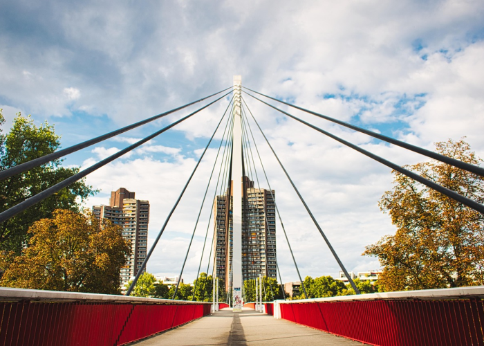 镜鉴与韧性之城的未来，警报，上海疫情数据创新高 12