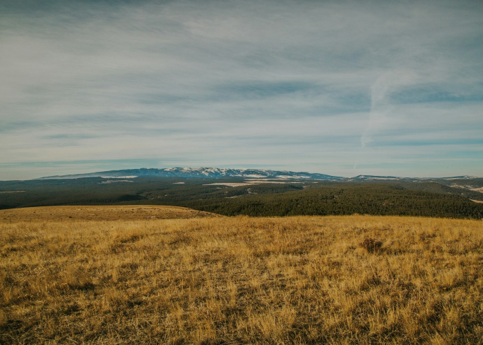是无数个我们的坚守、数字背后、31省新增本土确诊38例