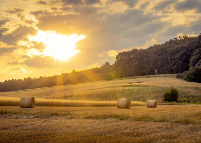 北京日增超4000例的疫情风暴，破晓的号角与人类韧性的试炼