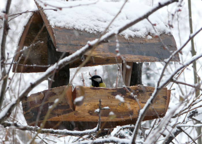 [警惕平静水面下的暗流]、河南新增1例本土病例 O