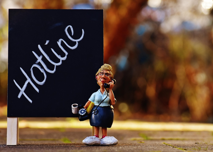 额济纳旗八例确诊背后的生命韧性,[胡杨林静默时] B