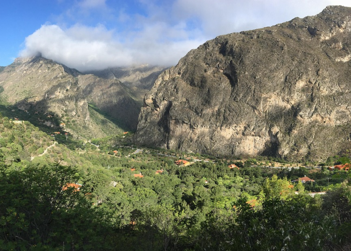 一座城市的精准防控与生活韧性，(天津12例新增确诊背后)