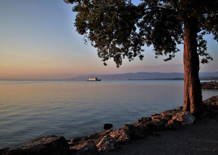 (疫情下的双城记与流动中国的治理考题)，石家庄1例新增确诊病例由北京返回