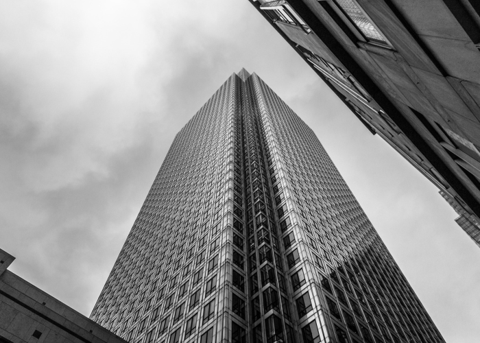 数字背后的坚韧与希望,黑龙江新增确诊56例