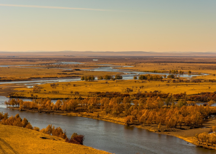 三十五次忙音，被算法冷落的尊严，与现代服务的迷墙
