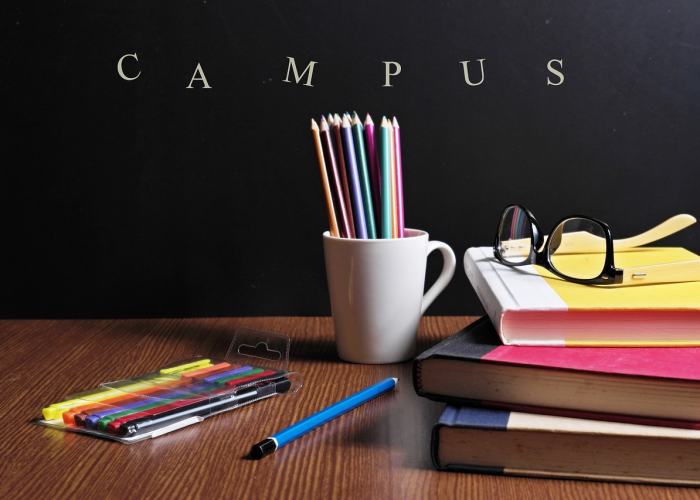 除夕团圆路为何藏着千年乡愁的密码¿！、高速公路免费9天