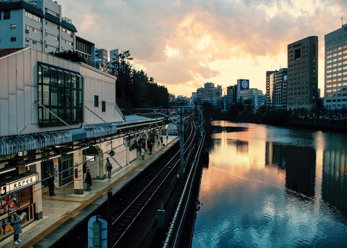 (平静水面下的防疫暗流),黑龙江新增本土无症状2例 32