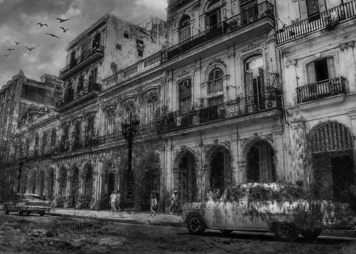 一座城市的双重轨迹，坚守与复苏之间，毕节疫情最新消息 X