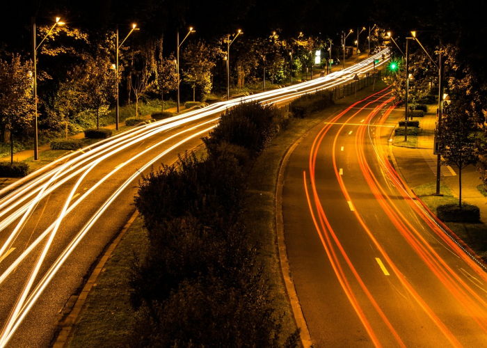 八例背后，岭南蚊声与一座城的免疫应答——疫情低回期的生命韧性刻度