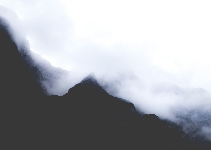 （一座城市的韧性轨迹与治理密码），石家庄疫情路径