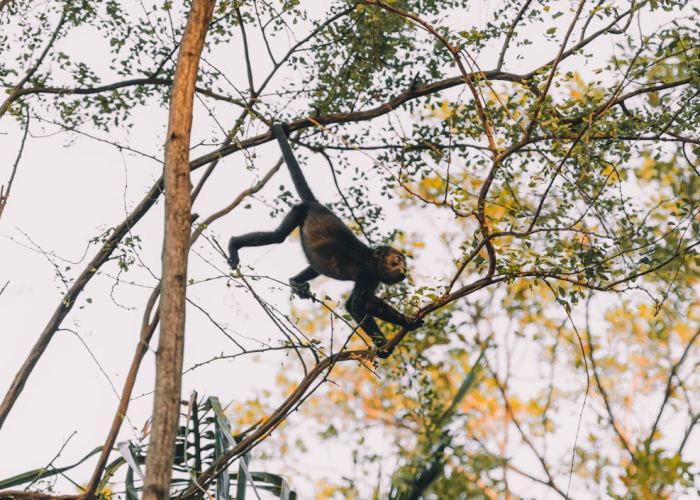 一个沈阳工厂电话背后的城市温度；口罩机旁的热线 28