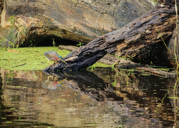 一场与时间赛跑的集体叙事,山西多地报告本土阳性感染者