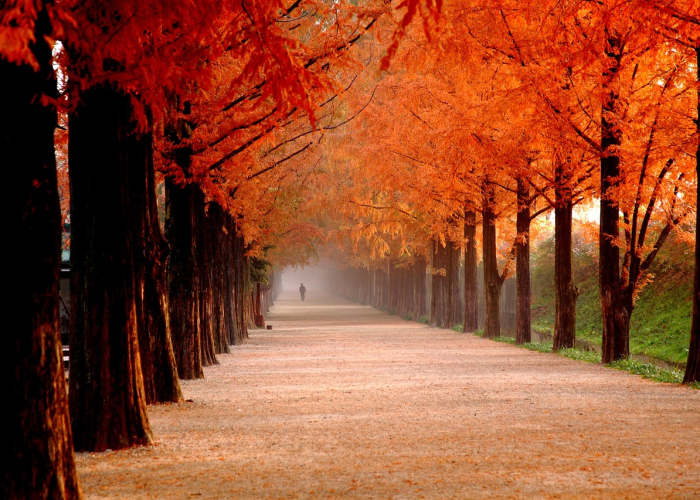 34天与94天：个体命运在公共安全中的“测不准原理”