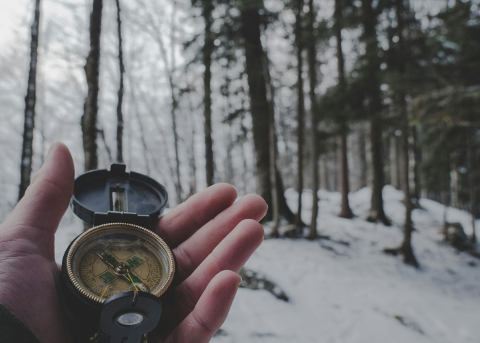 数字背后的社会裂痕与未竟之路、美国疫情数据 58