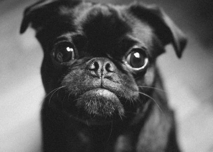 一张地图背后的博弈与温度；全国中高风险地区