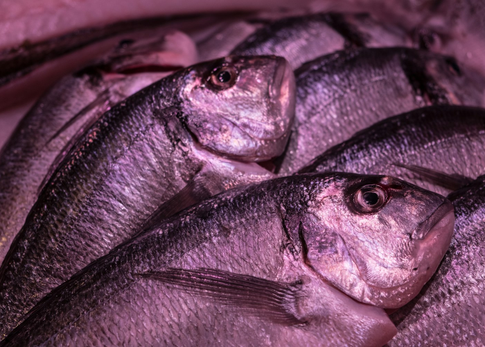 精准防控下的城市新常态，石家庄防疫最新情况 Z