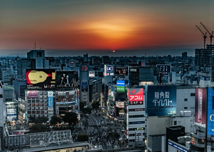 30万粉丝流失与回归：数字背后的信任天平，流量生态的免疫应答