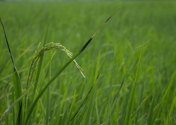 (数字时代下的新式等待与身份博弈),北京车辆摇号查询 43