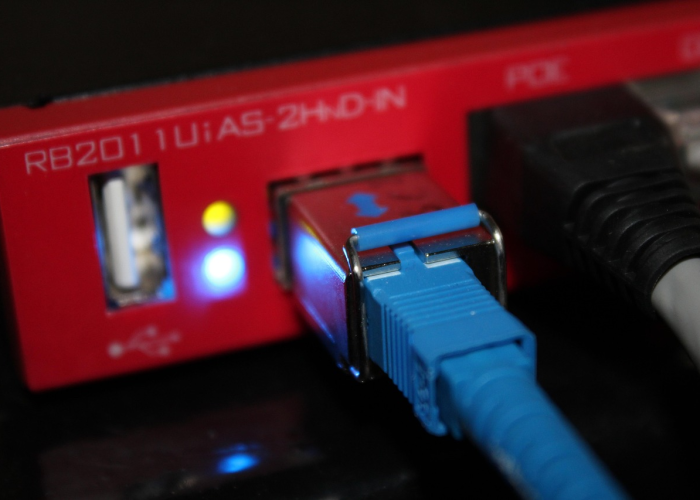 五日清零：社会免疫系统的短暂宁静，与下一次未知的集体预习