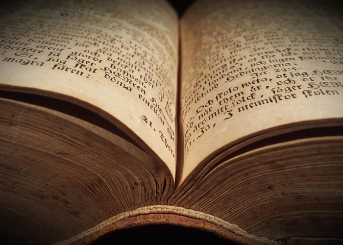 武清11月3979例传染病背后的生命守望：疫情潮汐中的社区韧性如同运河永续流淌