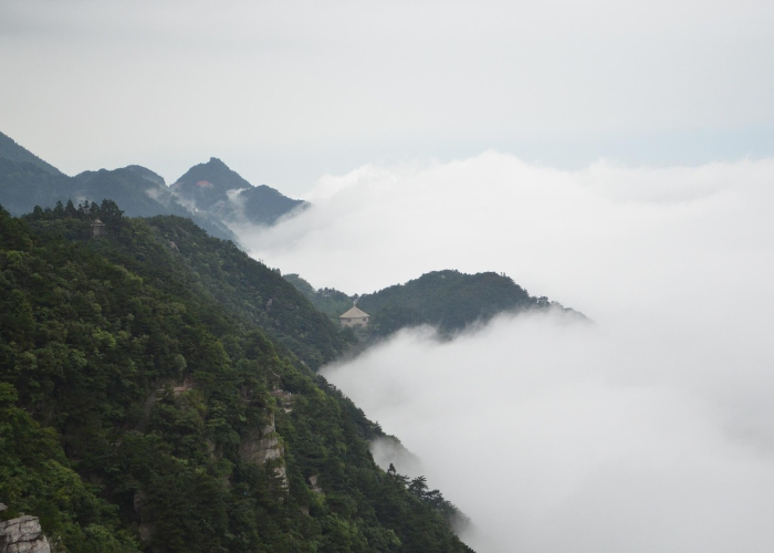当丧尸在陆家嘴按下暂停键、上海静默日 43