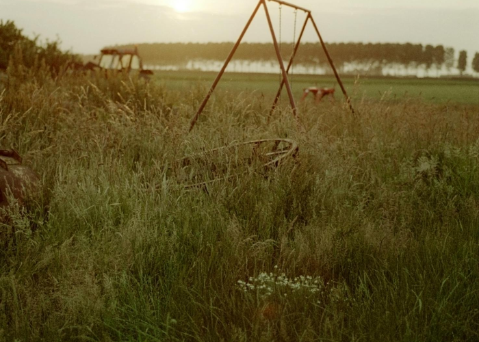 乌鲁木齐一例无症状装卸工：微光中的城市守望者