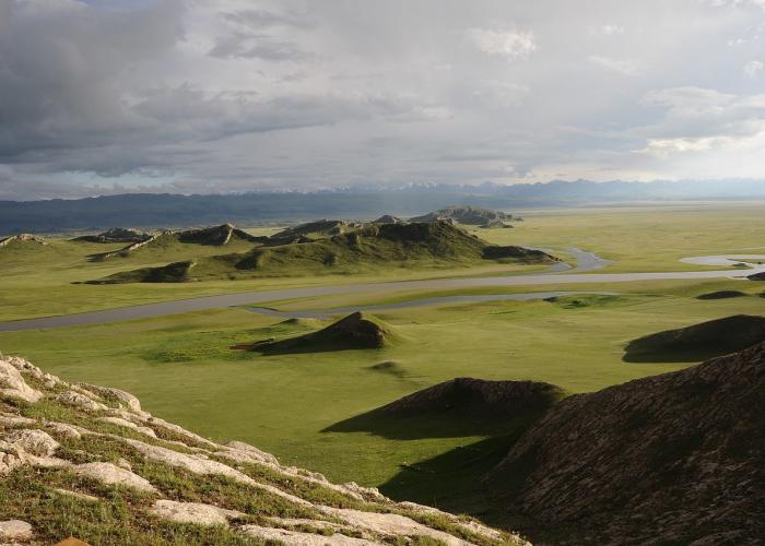 {数据背后的坚韧与守望}，天津24日疫情速报 Y