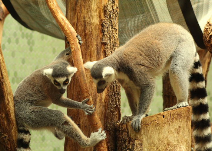 I 一座城与一个污名的二十年缠斗,晋江毒王