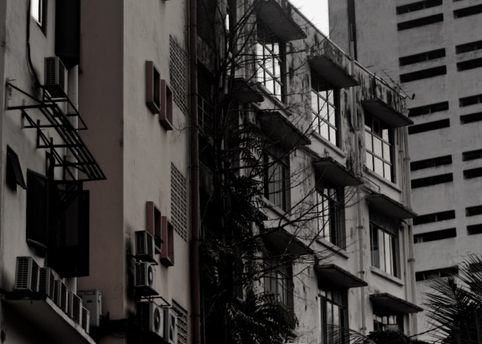 一例无声的渗透：从新疆到杭州的20天，一座城市的免疫系统被悄然激活