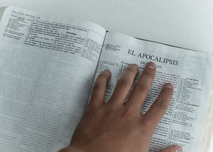 八例背后，岭南蚊声与一座城的免疫应答——疫情低回期的生命韧性刻度