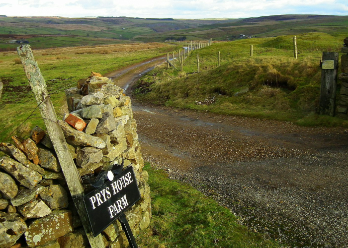 日均千万次查询：从包裹追踪到信任编织的现代物流经络图