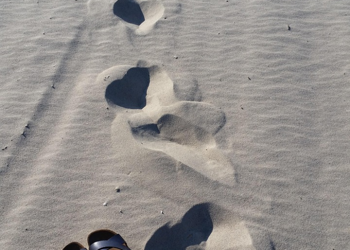 莱西市累计治愈128人：生命微光穿透疫情阴霾，如城市脉搏的顽强律动