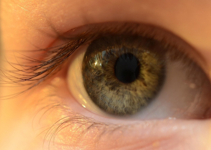 一张图背后的十四亿种心跳，疫情地图