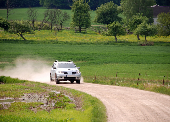 疫情下的数字涟漪与生活韧性,广东新增本土无症状2例