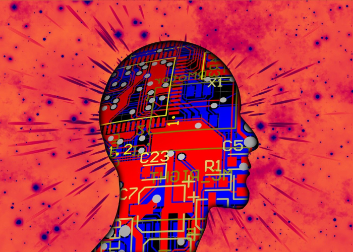 病历自主权回归：深港医疗数据通道每日激活千人次的数字高架桥