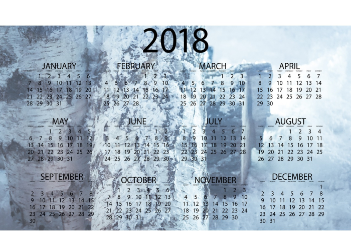 一场静悄悄的退场还是更深远的进化！！，《沈阳智慧停车》 D